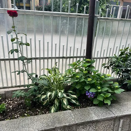 Privat bolig Slobo Prokuplje